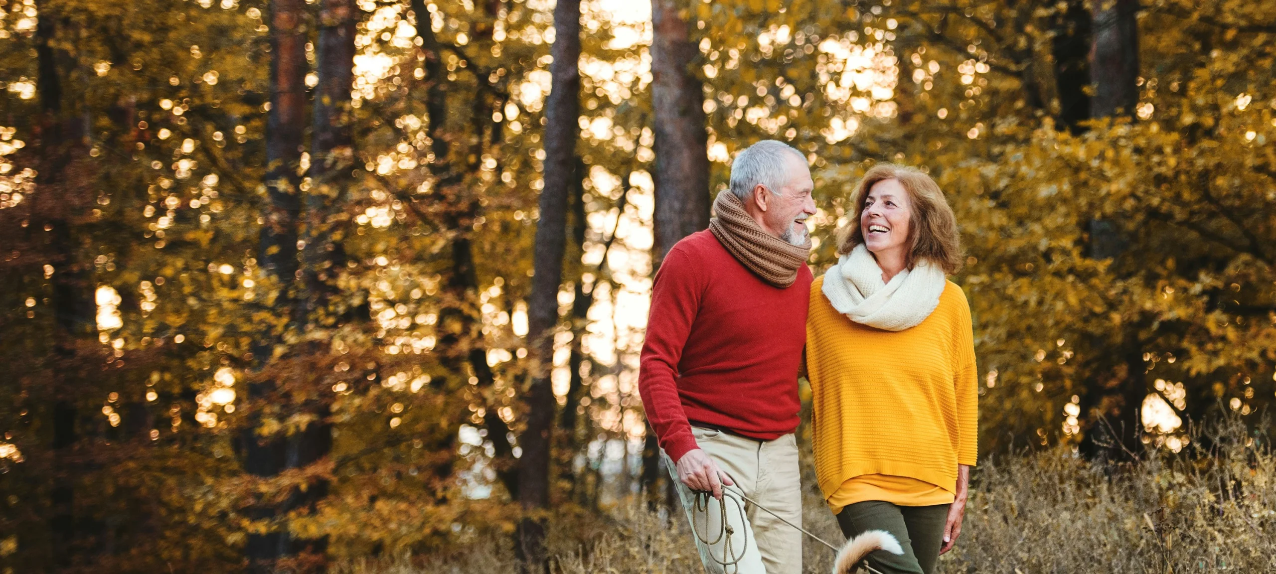 Couple walking in forest